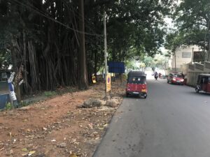 Mehr über den Artikel erfahren Colombo nach Kandy – Anreise mit Autopanne